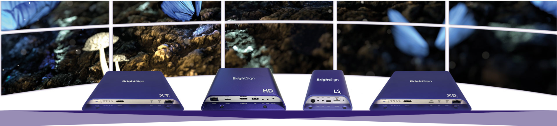Diverse Modelle von Brightsign Videoplayern